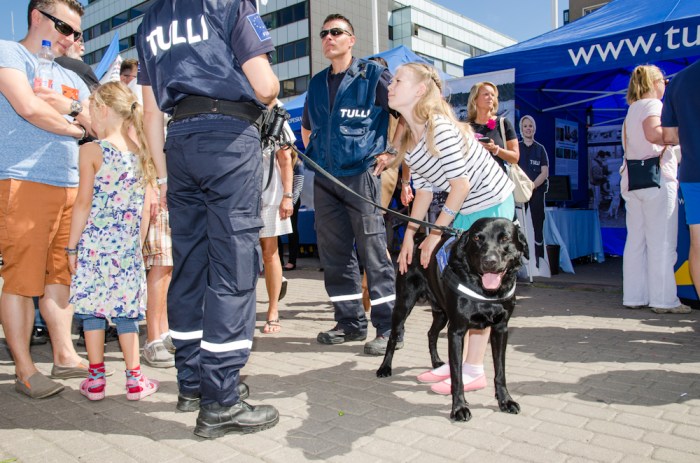 Tullikoira nautti rapsuttelusta.